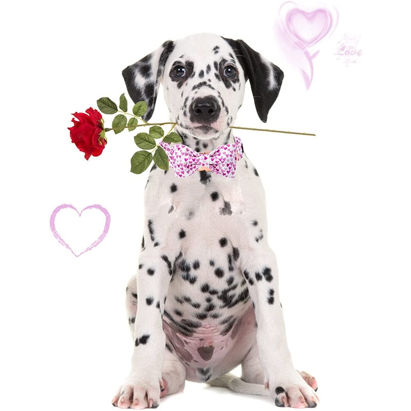 You had me at woof! This Pink Hearts Bow Tie Dog Collar by Unique Style Paws is full of love.