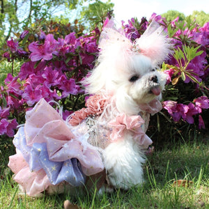 Available in 5 sizes, this luxurious dog dress is perfect for small-breed dogs such as Maltese and Poodles for weddings, anniversaries, photoshoots and special occasions.