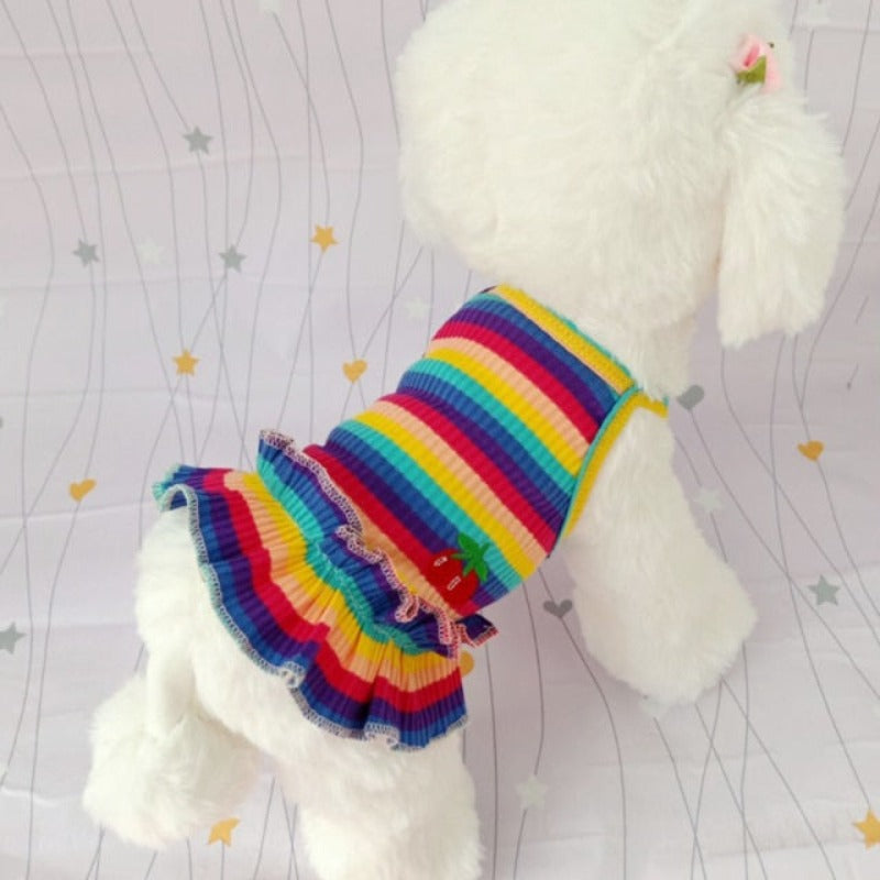 Available in 2 striped patterns, this bright Rainbow Dog Dress from our Spring/Summer collection fits small dogs.