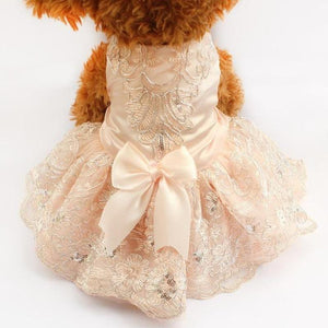 Pink Lace Embroidered Party Dog Dress is designed for small and medium dog breeds.