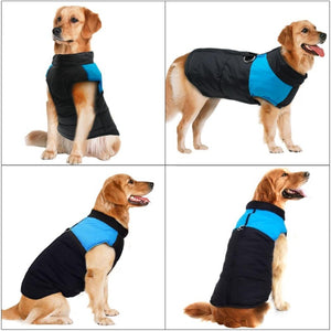 Golden Retrievers and Labradors stay warm in this Big Buddy Waterproof Winter Dog Vest.