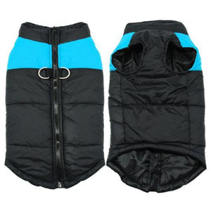 Blue Big Buddy Waterproof Winter Dog Vest is padded and quilted.