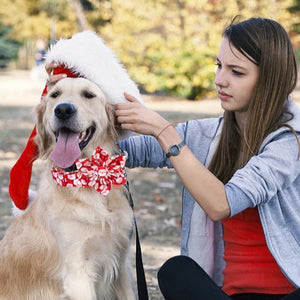 Santa Baby Christmas Flower Dog Collar & Leash Set fits small, medium and large dogs.